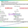 Combined SCCC EA Backtest