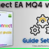 Connect EA Settings