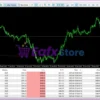DS Gold Robot MT5 Reviews