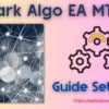 Dark Algo EA MT4 Settings