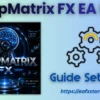 DeepMatrix FX EA MT5 Settings