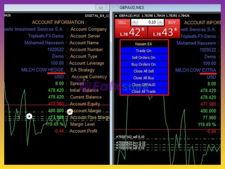 Digital Experts MT4 Trading Results