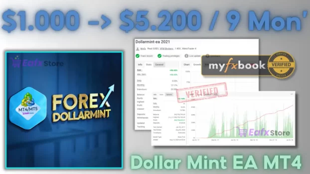 Dollar Mint EA MT4 Backtest