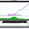 Dragon Multi EA MT5 Backtests Trading Results