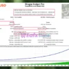 Dragon Scalper Pro Backtest Trading Results
