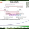 Dragon Scalper Pro MT4 Backtest Results