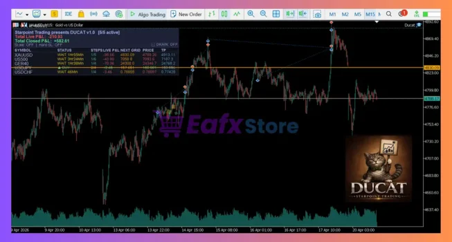 Ducat EA MT5 Review