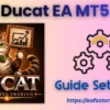 Ducat EA MT5 Settings