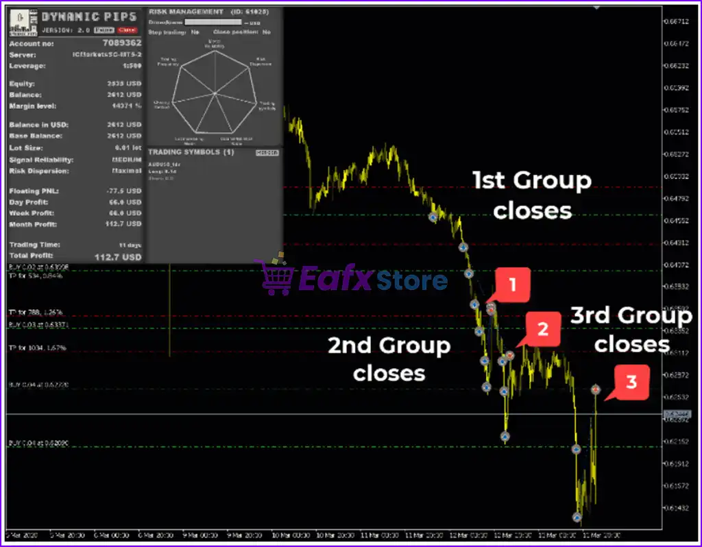Dynamic Pips MT4 (Latest original version) 5 Dynamic Pips MT4 Reviews
