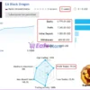 EA Black Dragon Live Trading Results