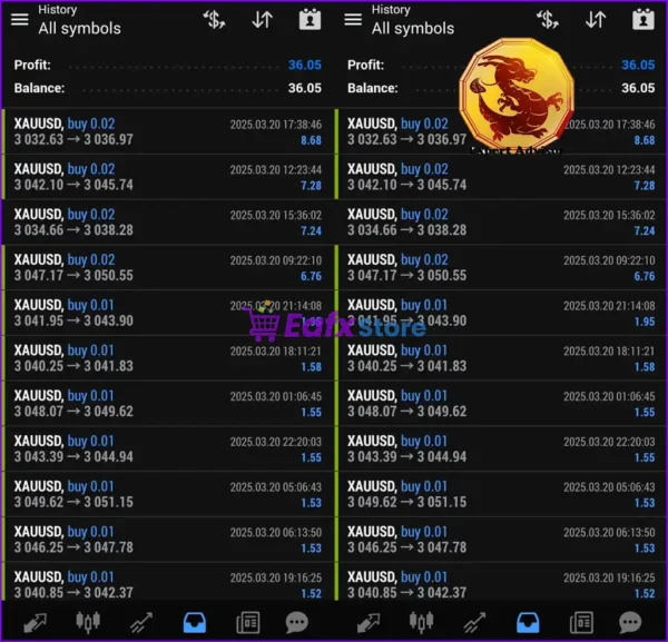 EA Black Dragon MT5 Results