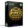 EA Forex Scalping MT5 MQL5