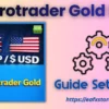 EA Protrader Gold MT4 Settings
