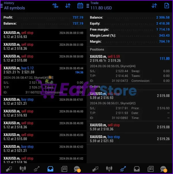 EA Skynet Real Trading Results