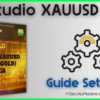 EA Studio XAUUSD Settings