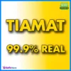 EA Tiamat MT4 robot