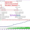 Easy Strategy Builder 5 EA Backtest Results