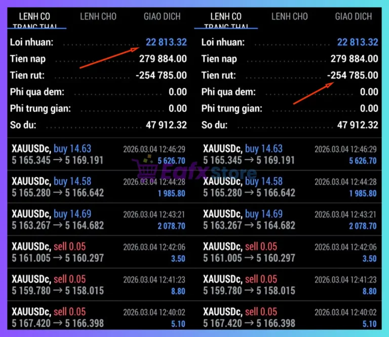 Elise Trend EA MT5 Review