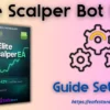 Elite Scalper Bot MT5 Settings