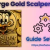 Emerge Gold Scalper EA MT5 Settings