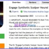 Engage Synthetic Scalper Neural Network EA MT5 Review