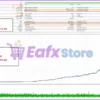 EurUsd Algo Trading MT5 Backtests Trading Results