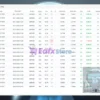 Exclusive Scalping EA Trading Signal Results