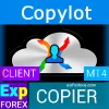 Exp COPYLOT CLIENT