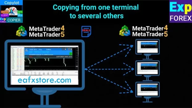 Exp COPYLOT CLIENT MT4 Review