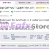 Exp COPYLOT CLIENT for MT4 Overview