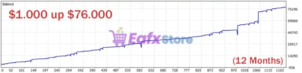 Eye Storm Promax MT5 Review