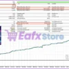 FTMO Gold EA MT5 Backtest Trading Results
