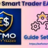 FTMO Smart Trader EA MT4 Settings