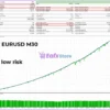 Fenghuang Rig EA Backtest Trading Results