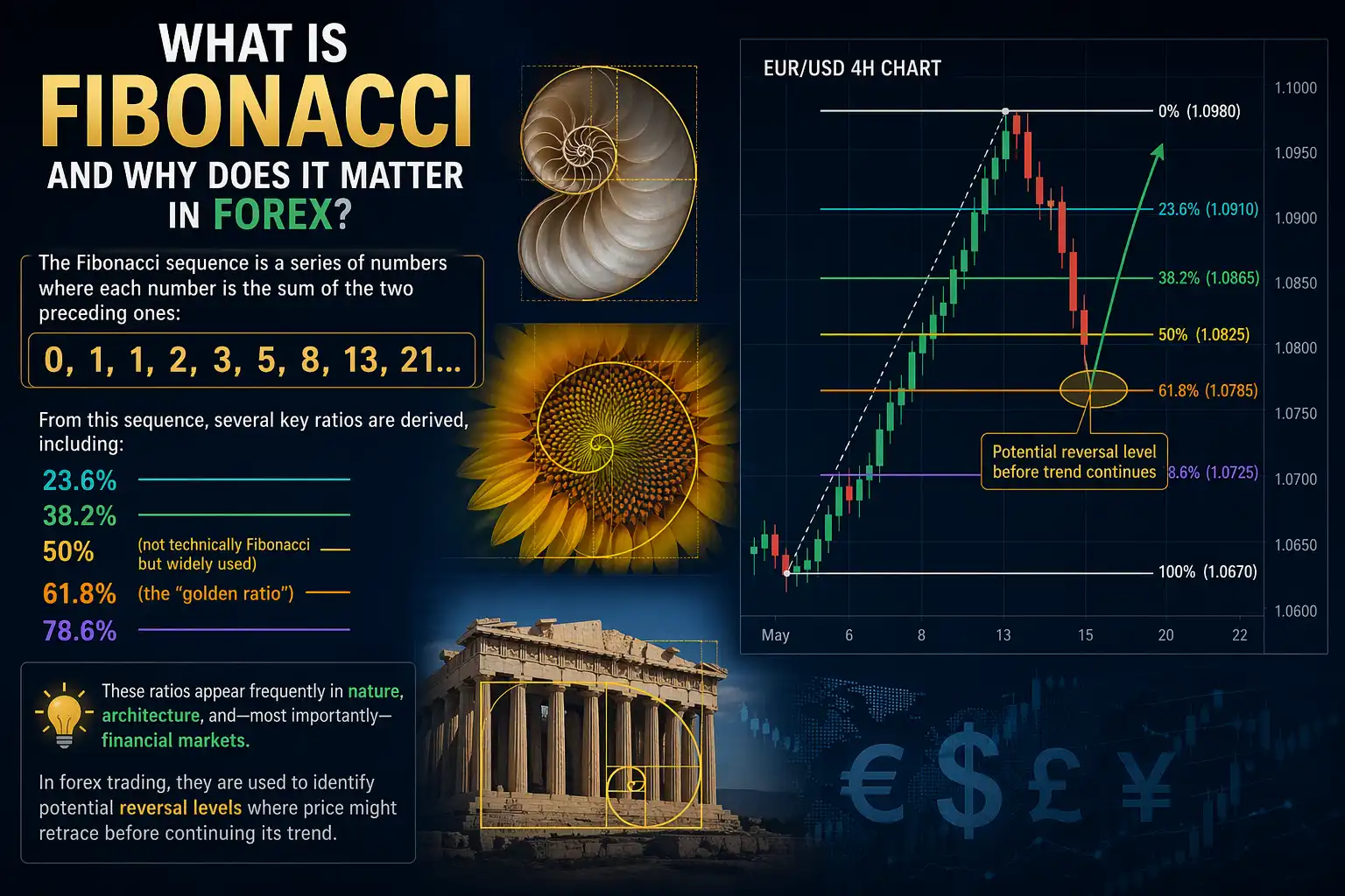 Fibonacci in Forex