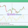 Fiona Trading System Review