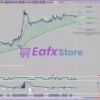 Forbex Trading System MT4 Review