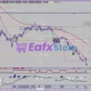 Forbex Trading System Review