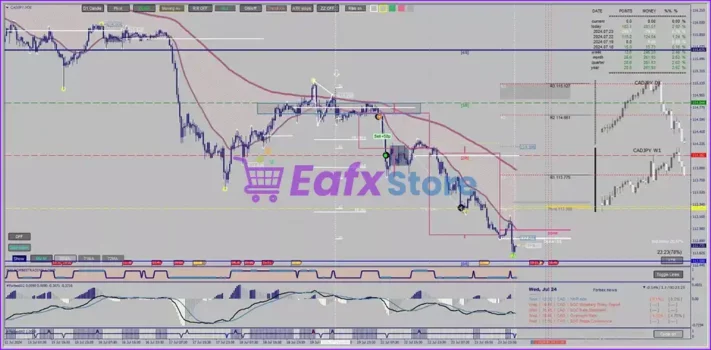 Forbex Trading System Review