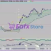 Forbex Trading System Reviews