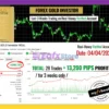 Forex GOLD Investor MT5 Myfxbook Results