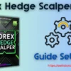 Forex Hedge Scalper EA MT4 Settings
