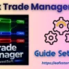 Forex Trade Manager MT5 Setting