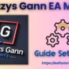 Fozzys Gann EA MT4 Settings