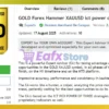 GOLD Forex Hammer XAUUSD MT5 Overview