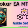 Gokar EA MT4 Settings