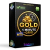 Gold 1 Minute Grid MT5