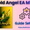 Gold Angel MT4 Setting