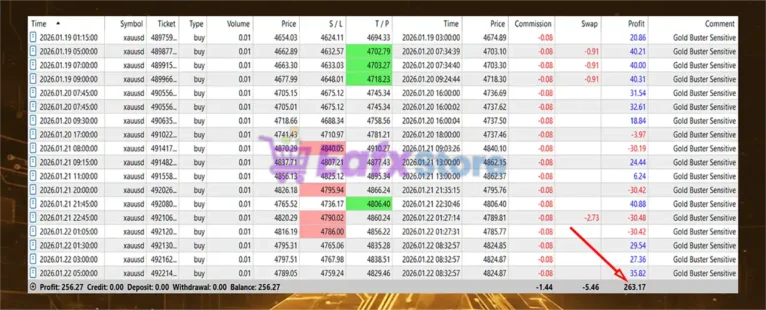 Gold Buster Sensitive EA Trading Results