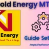 Gold Energy MT5 Settings